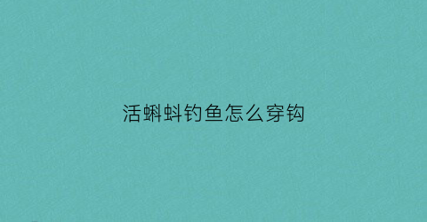 活蝌蚪钓鱼怎么穿钩(有蝌蚪的地方好钓鱼吗)