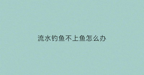 流水钓鱼不上鱼怎么办(流水不好钓鱼)