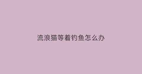 流浪猫等着钓鱼怎么办(流浪猫等我)