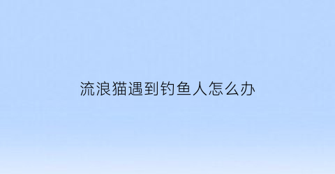 “流浪猫遇到钓鱼人怎么办(流浪猫下河捉鱼)