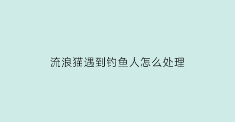 流浪猫遇到钓鱼人怎么处理(遇流浪猫咋办)