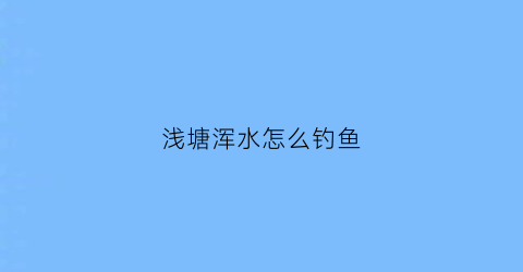 浅塘浑水怎么钓鱼(浅塘钓鱼技巧)
