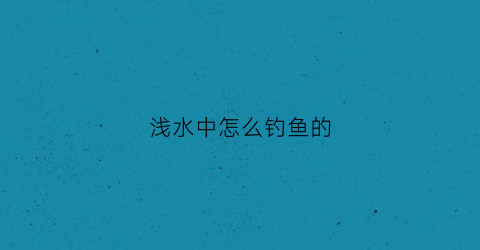 浅水中怎么钓鱼的(浅水钓鱼技巧大全)