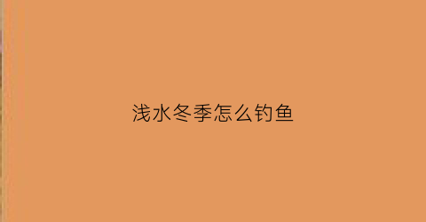 浅水冬季怎么钓鱼(浅水冬季怎么钓鱼视频)