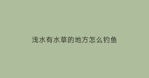 浅水有水草的地方怎么钓鱼(浅水有水草的地方怎么钓鱼视频)