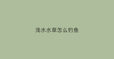 浅水水草怎么钓鱼(浅水水草怎么钓鱼最好)