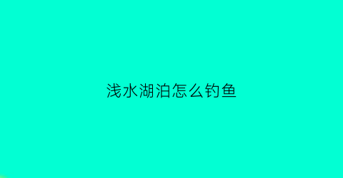 浅水湖泊怎么钓鱼(浅水垂钓技巧)