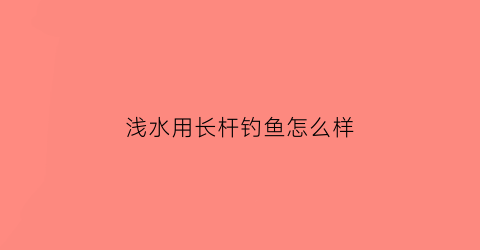 “浅水用长杆钓鱼怎么样(浅水用长杆钓鱼怎么样视频)