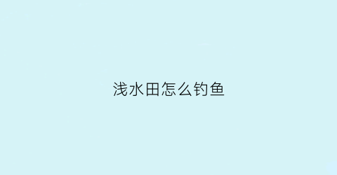 浅水田怎么钓鱼(浅水钓鱼怎么钓)