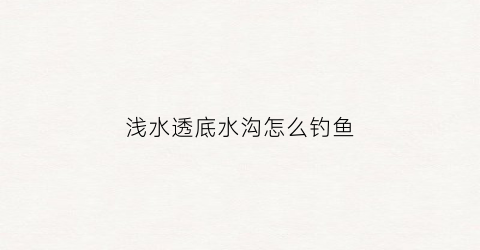 浅水透底水沟怎么钓鱼(浅水河沟里面钓鱼怎么钓)