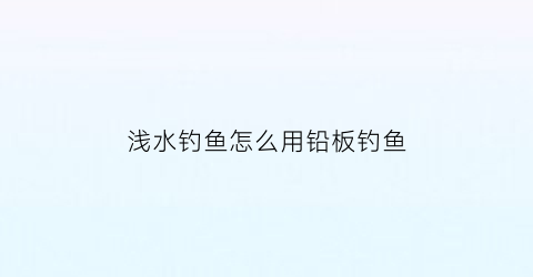 浅水钓鱼怎么用铅板钓鱼(浅水如何做钓)