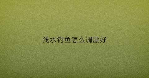 浅水钓鱼怎么调漂好(浅水钓鱼怎么调漂好视频)