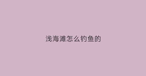 浅海滩怎么钓鱼的(海边浅滩)
