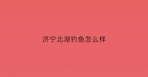 济宁北湖钓鱼怎么样(济宁北湖钓鱼怎么样呀)