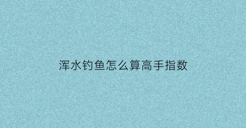 浑水钓鱼怎么算高手指数(浑水钓鱼好不好钓)