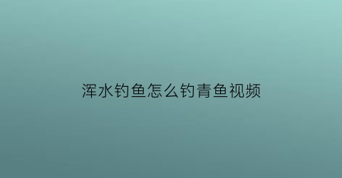 浑水钓鱼怎么钓青鱼视频