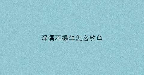 浮漂不提竿怎么钓鱼(浮漂没动提竿有鱼)