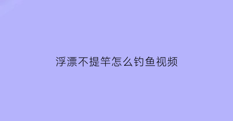 “浮漂不提竿怎么钓鱼视频(浮漂不动提竿中鱼)