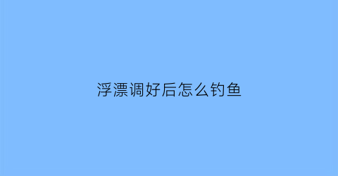 “浮漂调好后怎么钓鱼(调好浮漂之后下次在钓鱼还需要重新调吗)