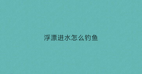 “浮漂进水怎么钓鱼(浮漂被水流冲入水里如何解决)