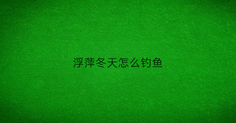 浮萍冬天怎么钓鱼(浮萍怎么越冬)