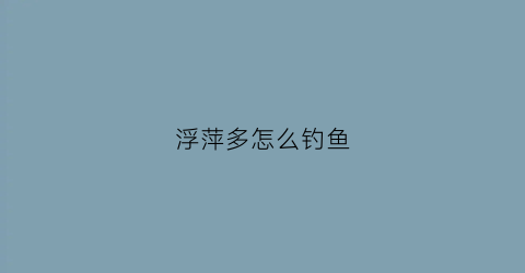 浮萍多怎么钓鱼(浮萍底下有鱼怎么钓)