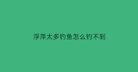 浮萍太多钓鱼怎么钓不到(浮萍钓鱼有什么办法)
