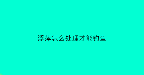 浮萍怎么处理才能钓鱼(浮萍如何钓鱼)