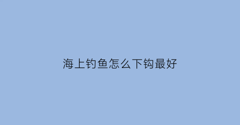 “海上钓鱼怎么下钩最好(海上钓鱼怎么下钩最好用)