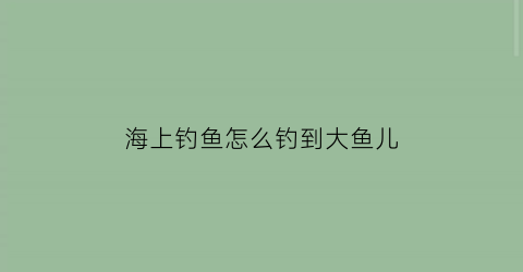 海上钓鱼怎么钓到大鱼儿(海上钓鱼用什么鱼饵)
