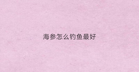 海参怎么钓鱼最好(海参怎么钓鱼最好视频)