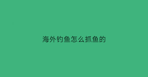 “海外钓鱼怎么抓鱼的(国外钓法)