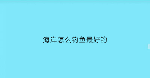 海岸怎么钓鱼最好钓(海岸钓鱼用什么饵好)
