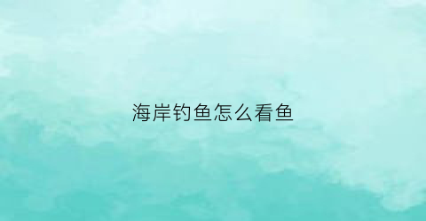 海岸钓鱼怎么看鱼(海岸钓视频)