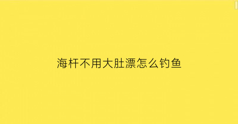 海杆不用大肚漂怎么钓鱼