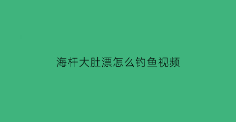 海杆大肚漂怎么钓鱼视频(海杆大肚漂线组)