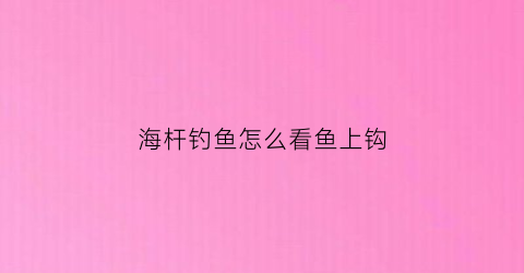 海杆钓鱼怎么看鱼上钩(海竿钓鱼怎么看鱼上钩了没有)