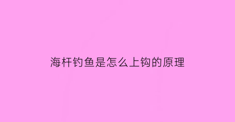 “海杆钓鱼是怎么上钩的原理(海杆钓海鱼怎么钓)