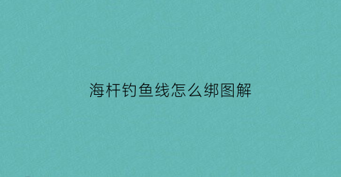 海杆钓鱼线怎么绑图解(海杆鱼线组绑法图解)