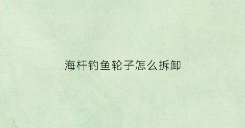 海杆钓鱼轮子怎么拆卸(海竿轮如何拆卸视频)