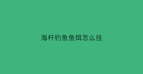 海杆钓鱼鱼饵怎么挂(海杆怎么挂诱饵)