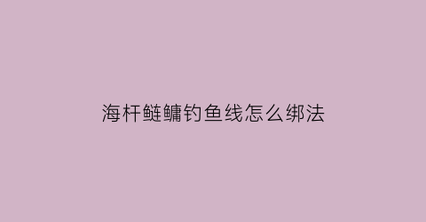 海杆鲢鳙钓鱼线怎么绑法(海竿钓鲢鳙怎么绑线)