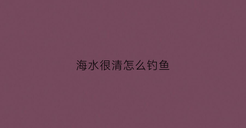 海水很清怎么钓鱼(海水很清怎么钓鱼视频)