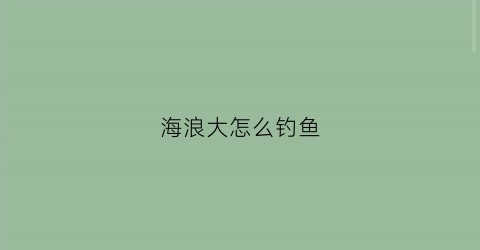 海浪大怎么钓鱼(海浪大能钓到鱼吗)