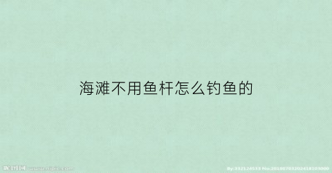 “海滩不用鱼杆怎么钓鱼的(海钓不用鱼饵就能上来鱼)