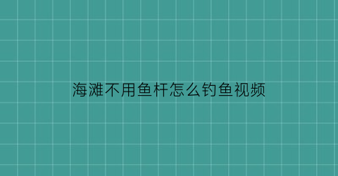 海滩不用鱼杆怎么钓鱼视频