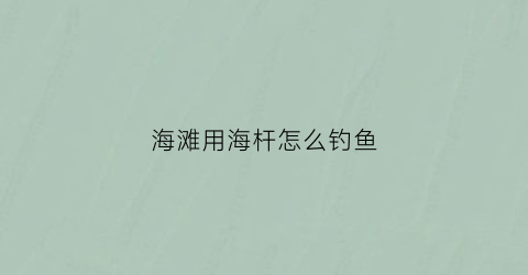 海滩用海杆怎么钓鱼(海边怎么用海竿钓鱼)