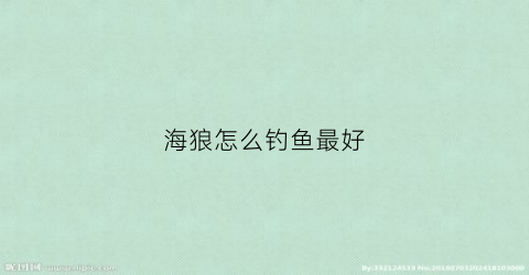 海狼怎么钓鱼最好(海狼怎么钓鱼最好视频)