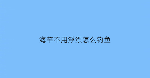 海竿不用浮漂怎么钓鱼(海杆不用漂怎么使用)