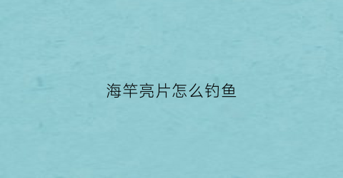 海竿亮片怎么钓鱼(海竿能打亮片吗)